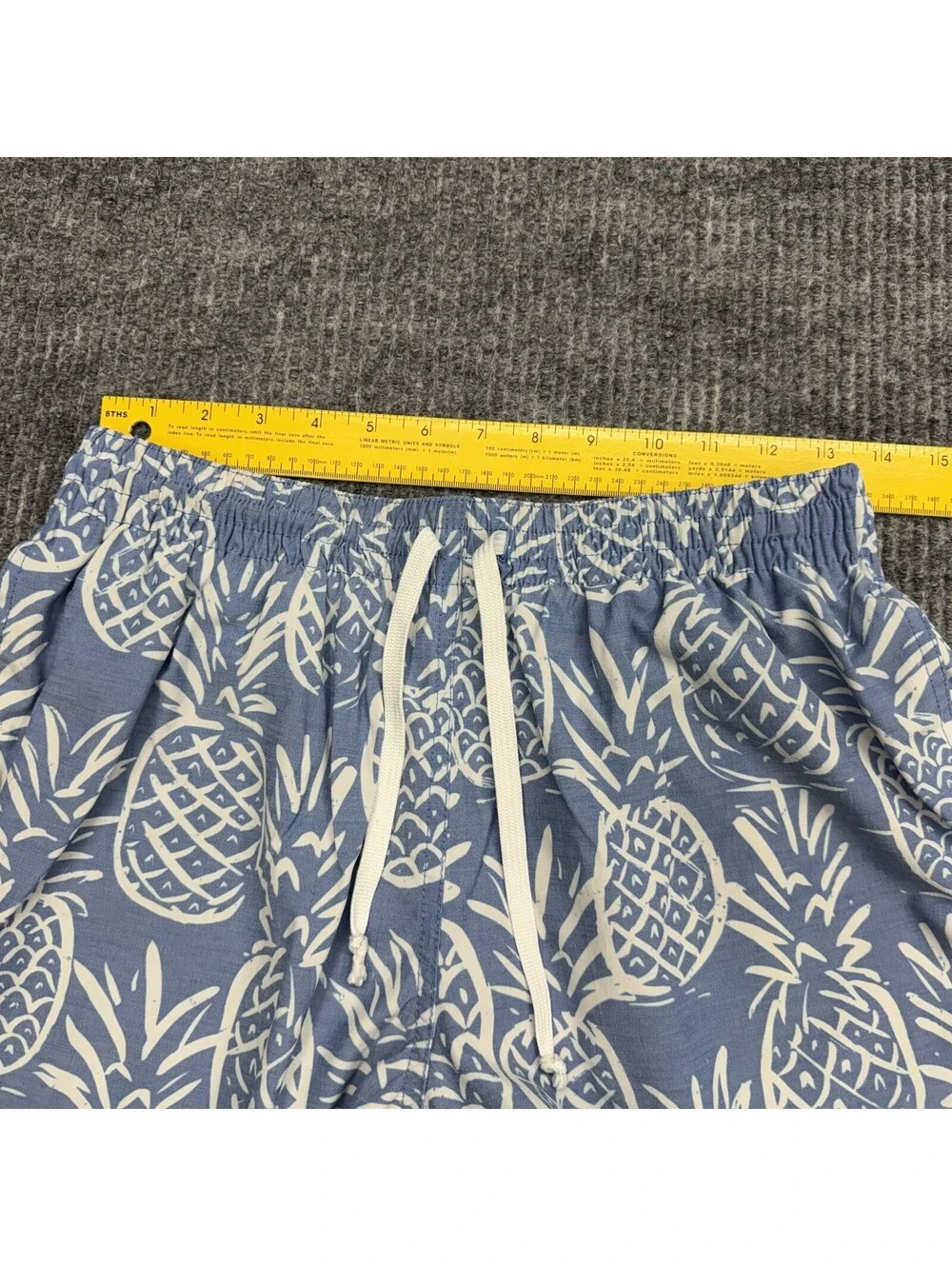 Chubbies Shorts Mens M Blue White Pineapple Beach AOP Lined Swim Trunks Pockets